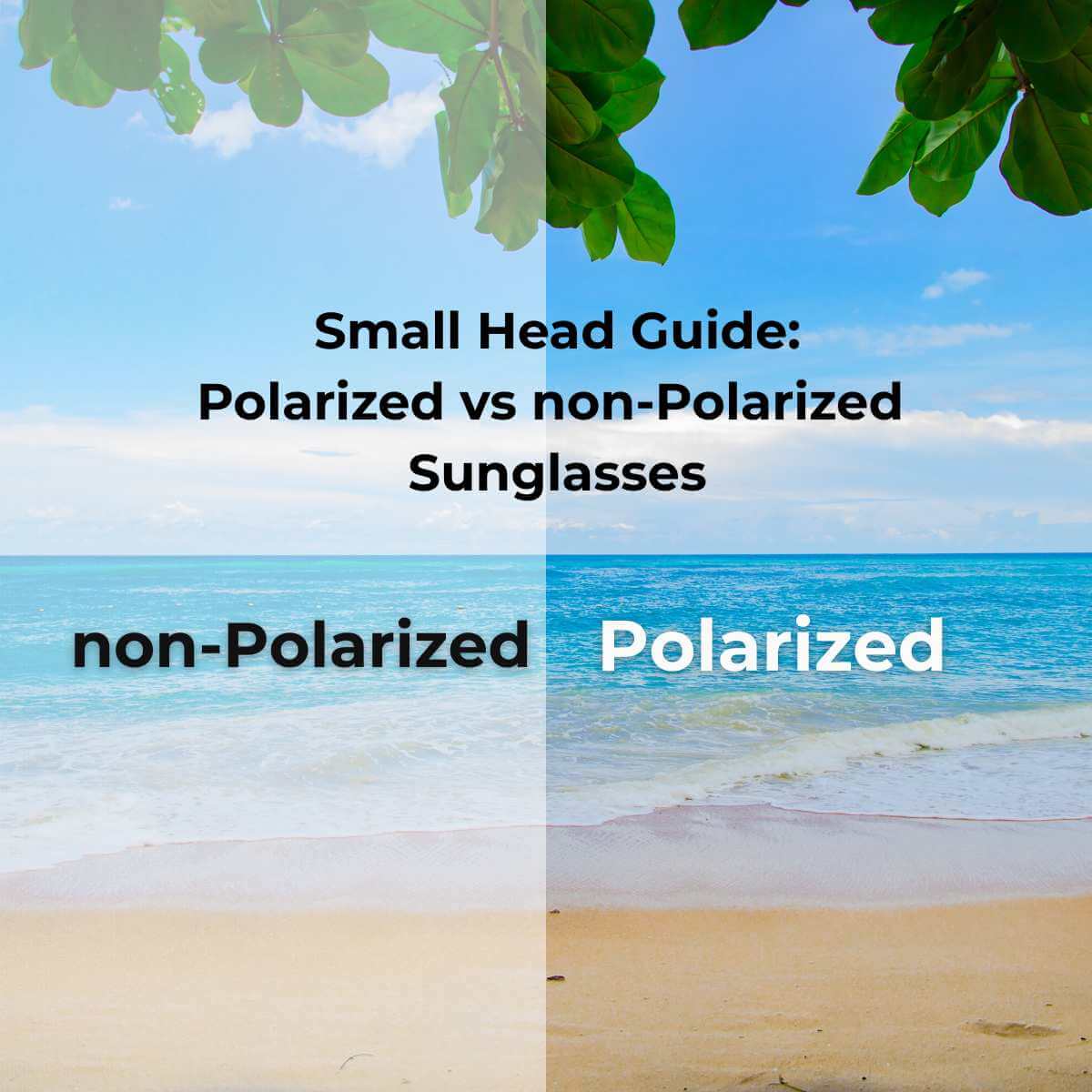 Beach view split between non-polarized (hazy) and polarized (clear) lenses, with guide title for small heads.